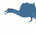 Profile picture of Spino