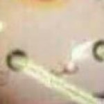Profile picture of SombraAnimations