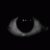 Profile picture of eye