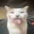 Profile picture of Marshmallow
