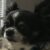 Profile picture of Milk cap