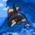 Profile picture of The Immortal Orca (SN)