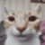 Profile picture of DaCat