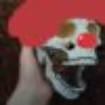 Profile picture of Khakis Boy