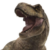 Profile picture of blossomxo