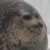 Profile picture of Mcjack167 (2)