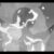 Profile picture of Base