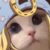 Profile picture of Zeph