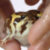 Profile picture of Suzpire