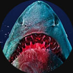 CobraahXP