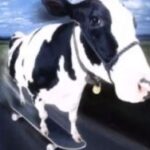Profile picture of Maxy