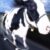 Maxy