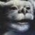 Profile picture of trixed