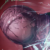 Profile picture of Clam
