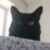 Profile picture of JurangggSTK