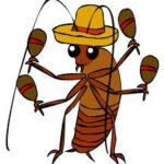 Lacucuracha