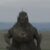 Profile picture of Dracorex