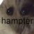 Profile picture of Dacian