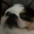 Profile picture of Raspythree2614