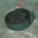 Ninjakiller