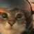 Profile picture of SirBirdy01