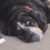 Profile picture of Phinley461112
