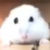 Profile picture of Mariolover