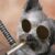 Profile picture of polo