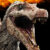 Profile picture of Silas