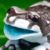 Profile picture of AmazonMilkyFrog