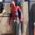Profile picture of Spidy