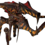 Starship troopers fan