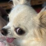 Profile picture of Bensleeping