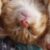 Profile picture of Shadow