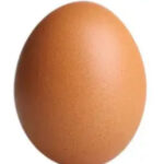 Egg-The-Animator