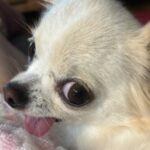 Profile picture of Bentsh7474