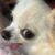 Profile picture of Bentsh7474