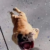 Profile picture of Lil GuyA.N.I.M.S.