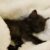 Profile picture of MeFizzFizz