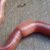 Profile picture of Worm