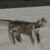 Profile picture of Tantal