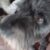 Profile picture of Milo