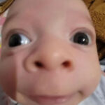 Profile picture of Cheez