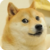 Profile picture of Doge