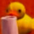 Profile picture of Kameron
