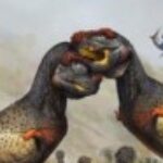 Hyaenodonfan