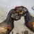 Profile picture of Hyaenodonfan