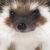 Profile picture of Romez