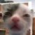 Profile picture of FearTested