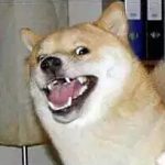 Profile picture of Bruhmomentum123